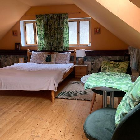 Loft Natalya Gold Apartment Cesky Krumlov Bagian luar foto